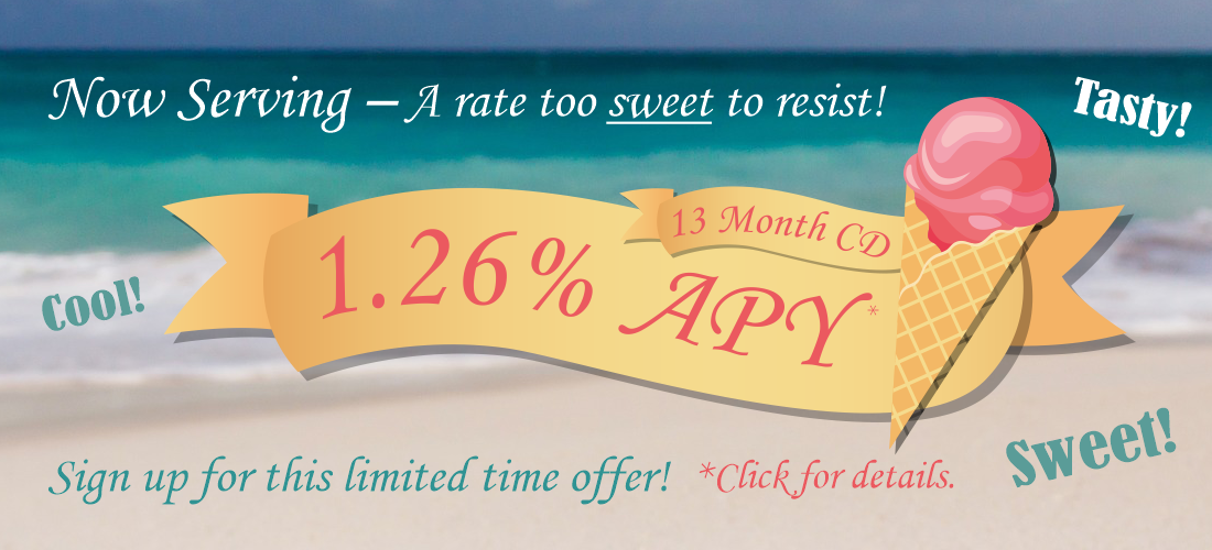 1.25% 13 Month Rate Special