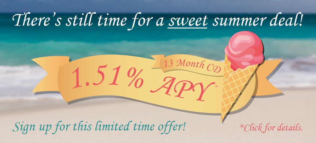1.51% APY 13 Month Rate Special