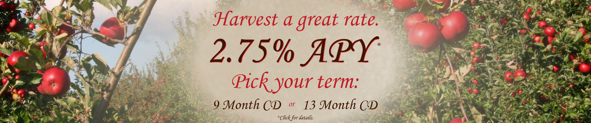 2.75% APY CD Special
