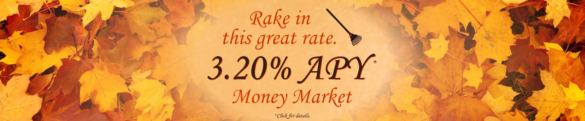3.20% APY Money Market Special