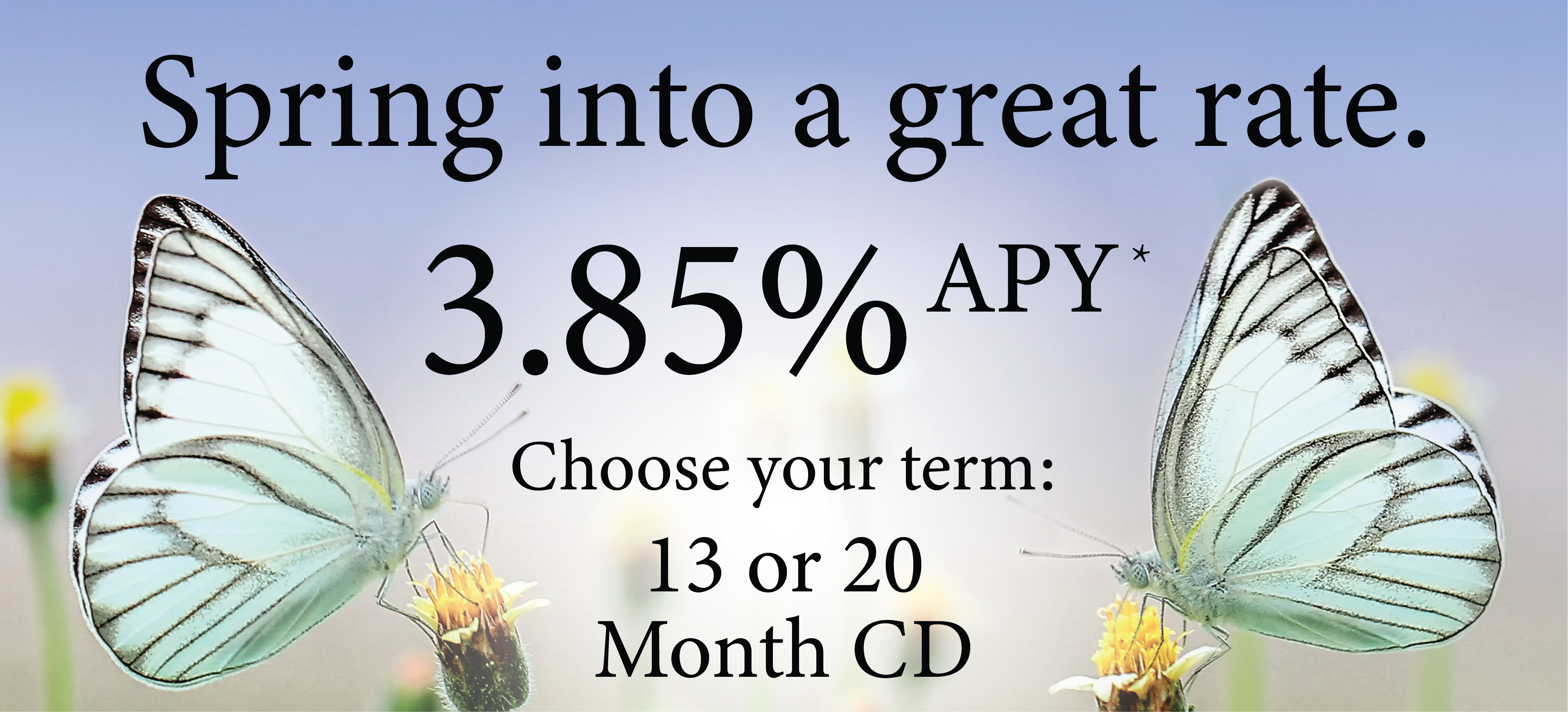 3.85% CD Special