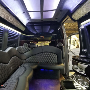 All Nite Limo